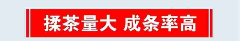 王母宫石窟(泾川县融媒体中心 供图)
