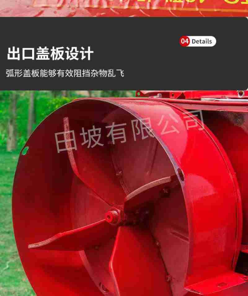 昌马石窟(玉门市融媒体中心 供图)
